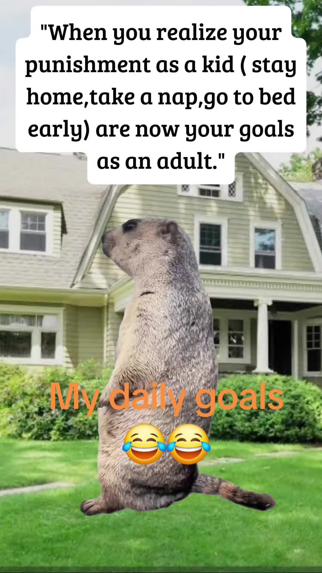 @smmhall16♈️❌️