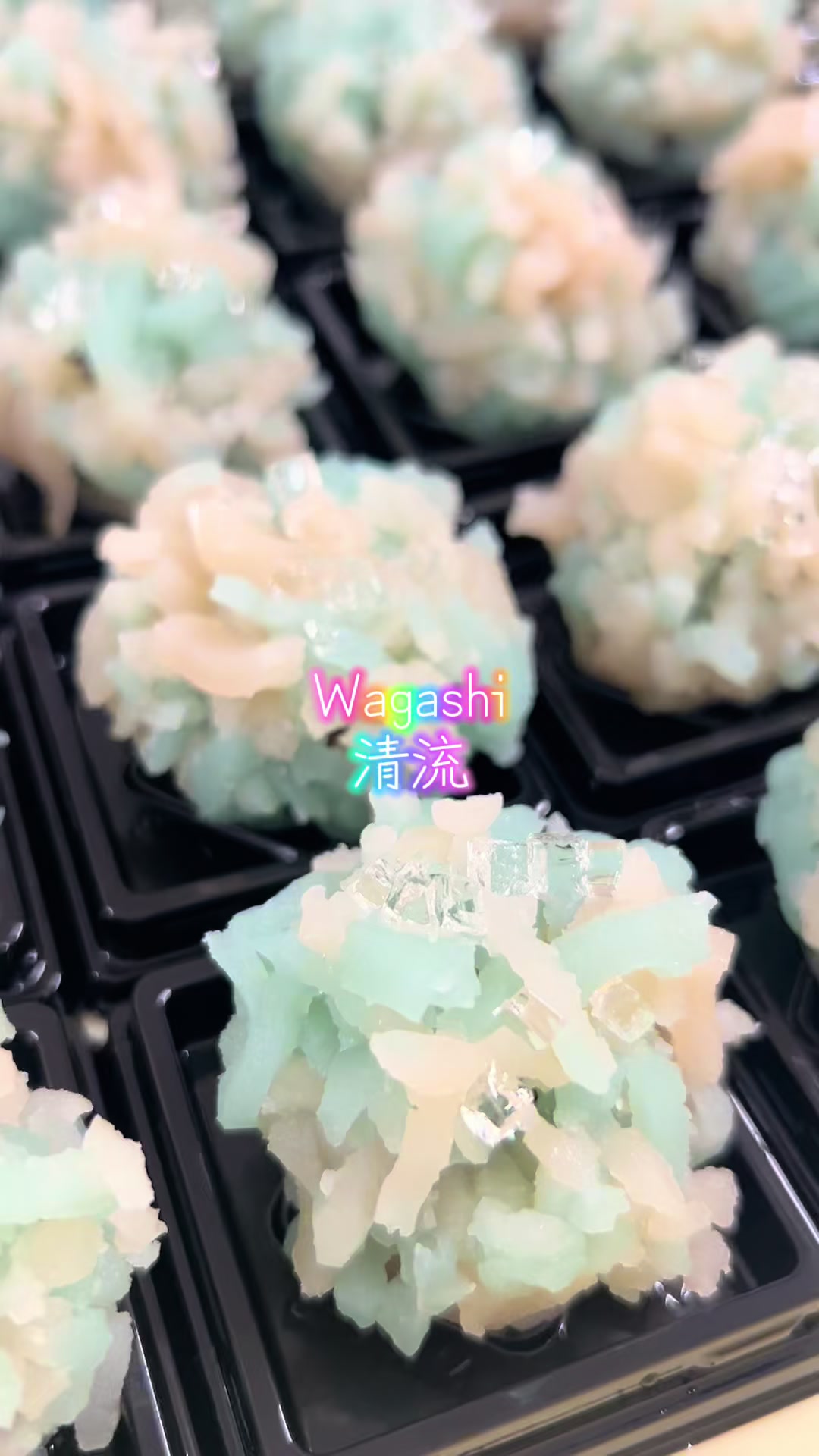 @WAGASHI_DREAM