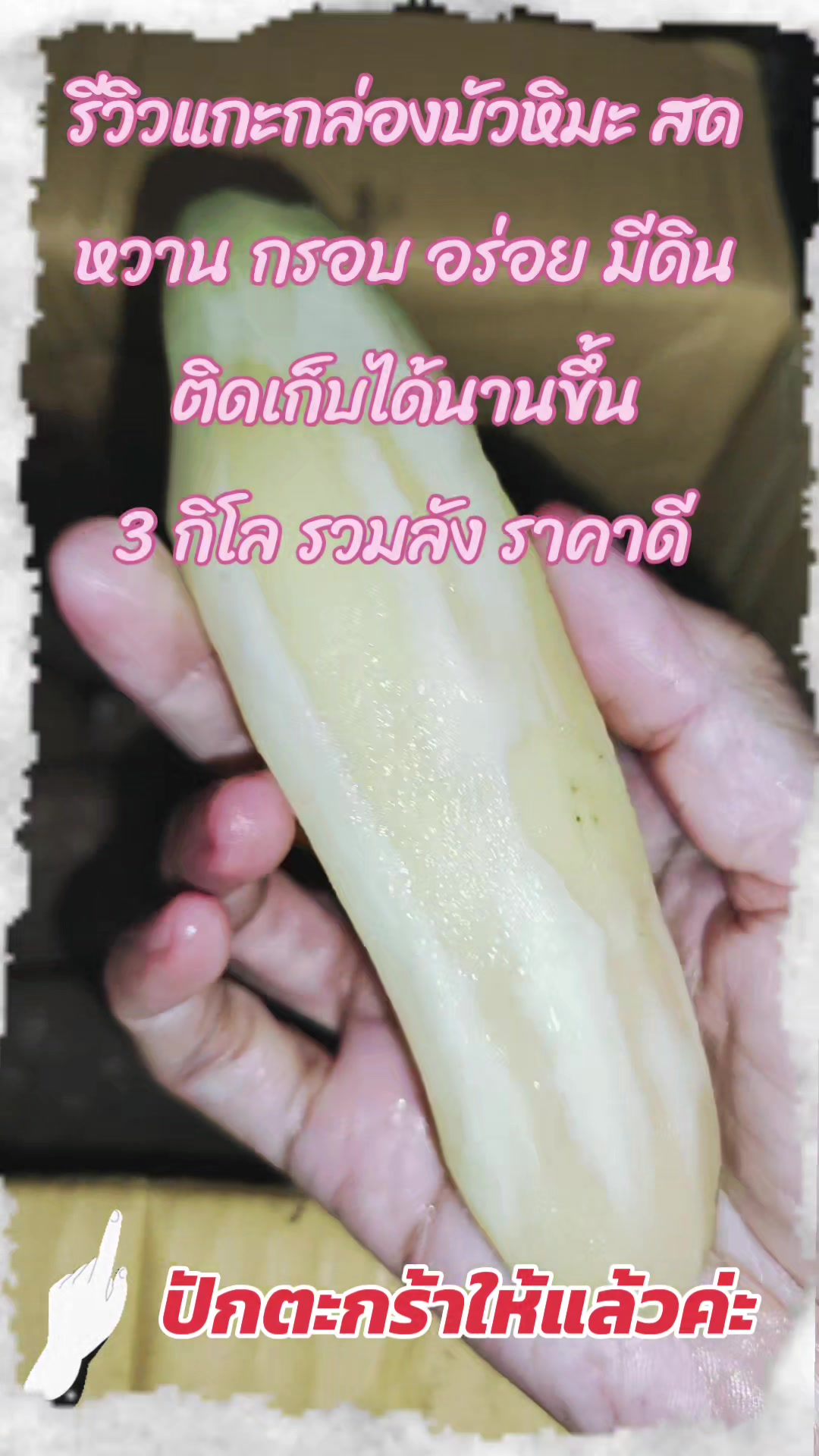 @Kaki222