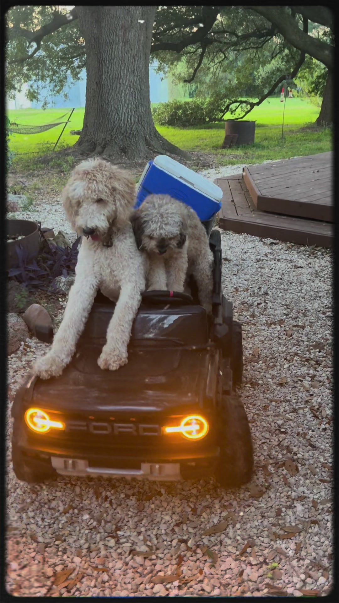 @bigdoodleandlittledoodle