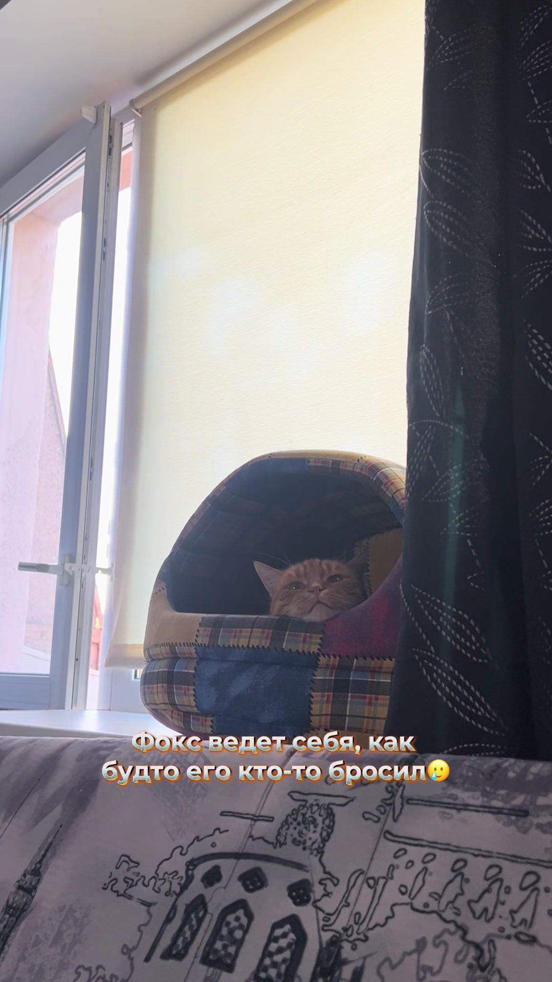 @Оля & Co🐈⬛🐈