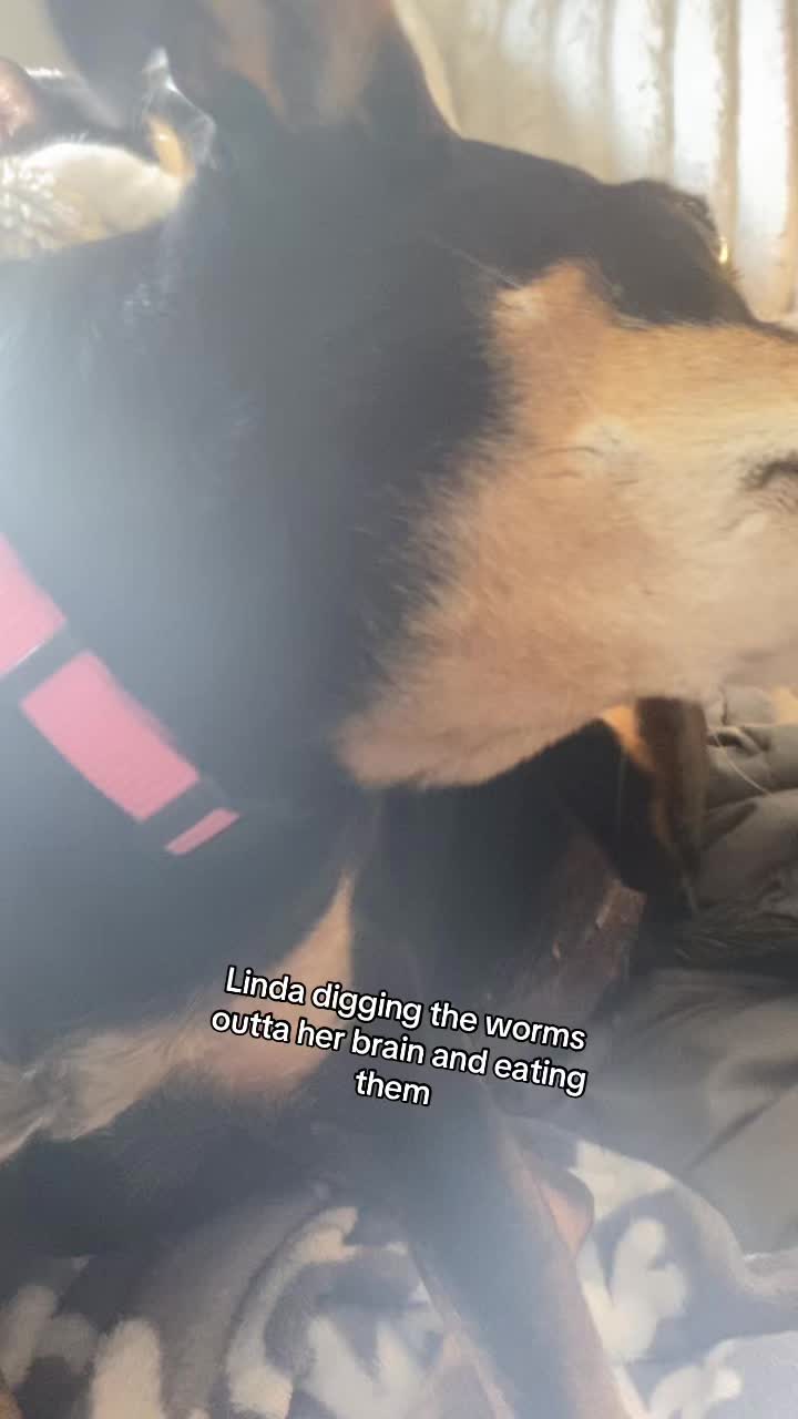 @Linda Longnips