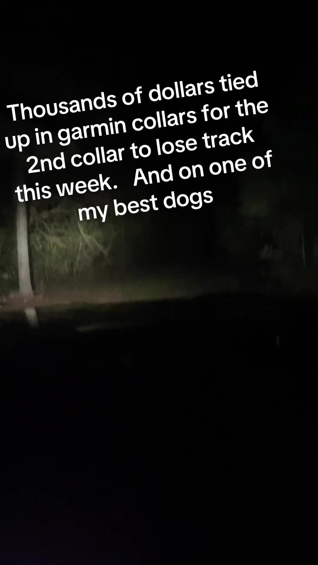 @3DeepKennels