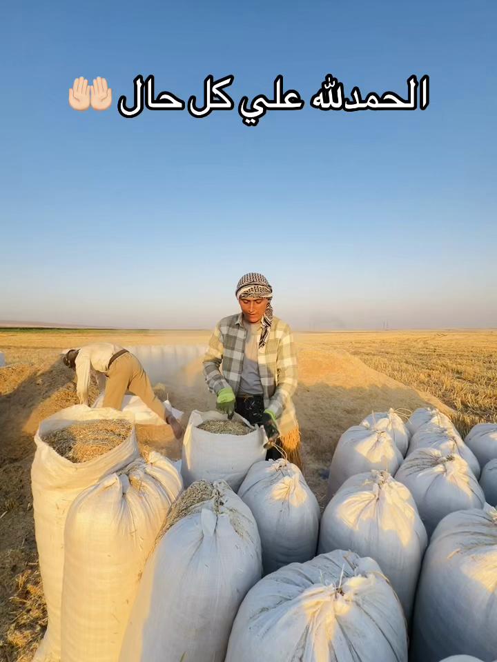 @محمد مام سال