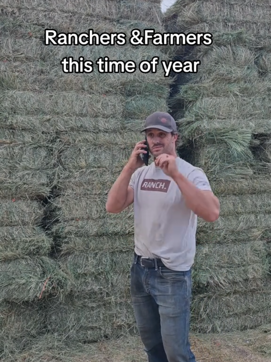 @Cowboy Ninja