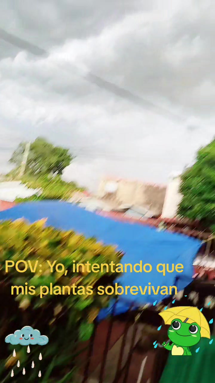 @Lunita Fugas