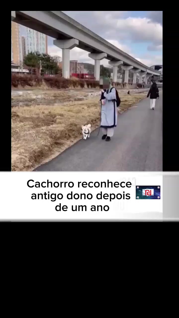 @Felipe Not&iacute;cia universal