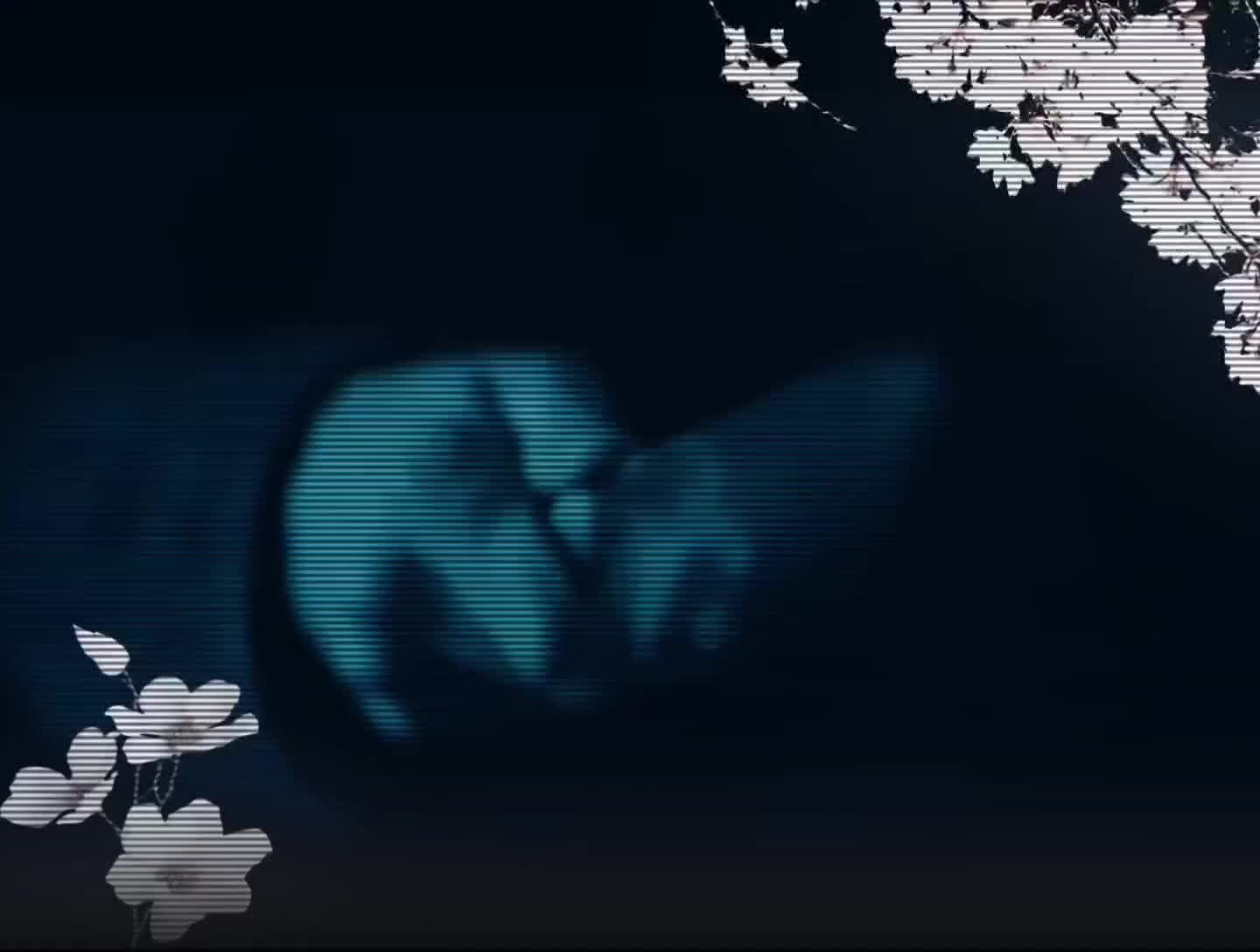@𐙚₊˚ ⋅ @