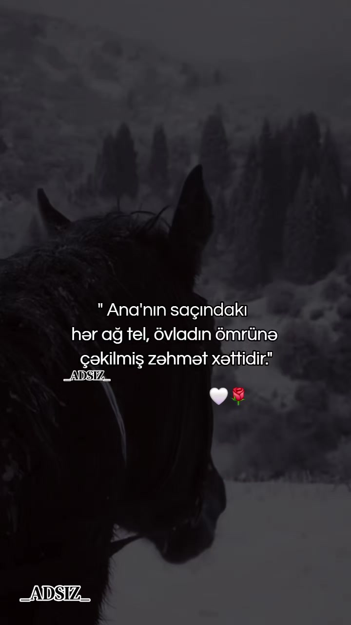 @_ADSIZ_