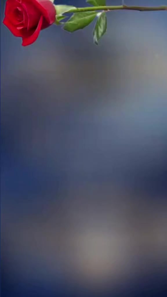 @JnudaAil🇸🇦🇸🇦