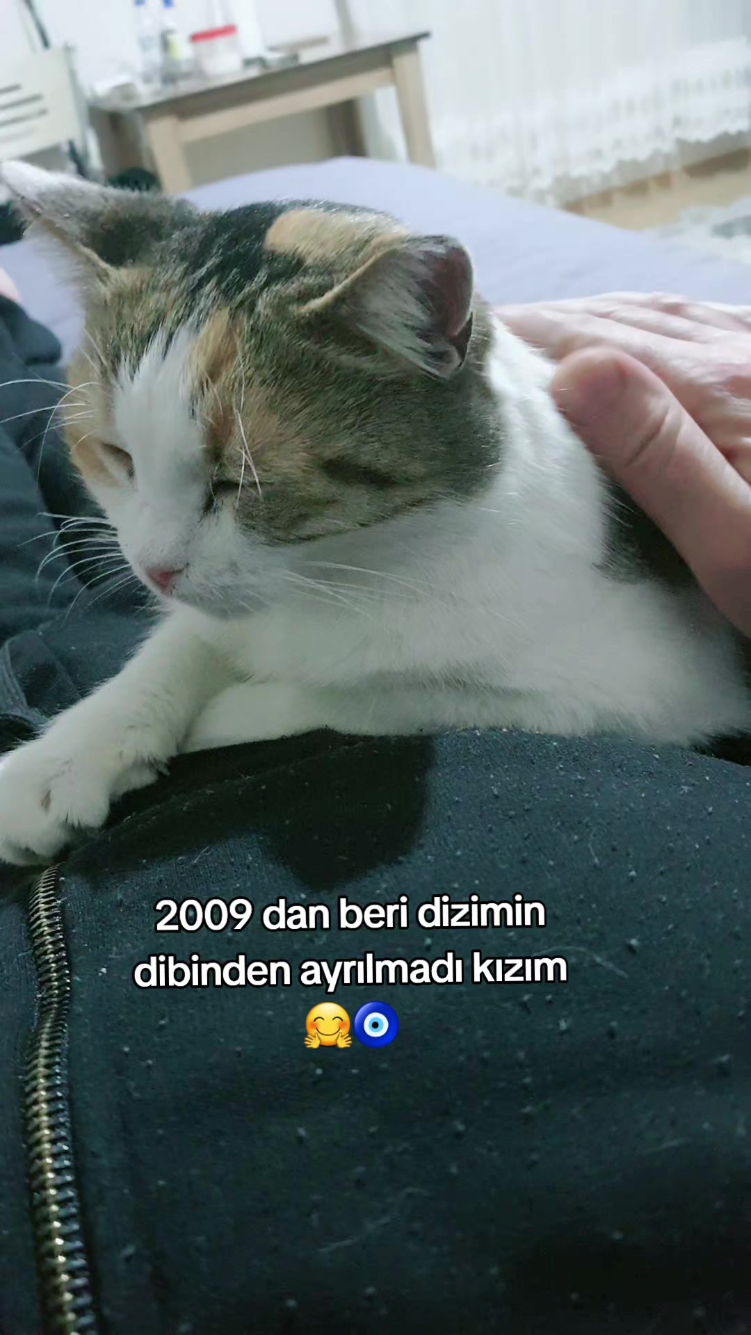 @kuzey