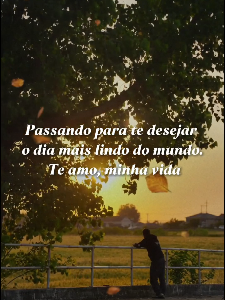 @Coração de leão