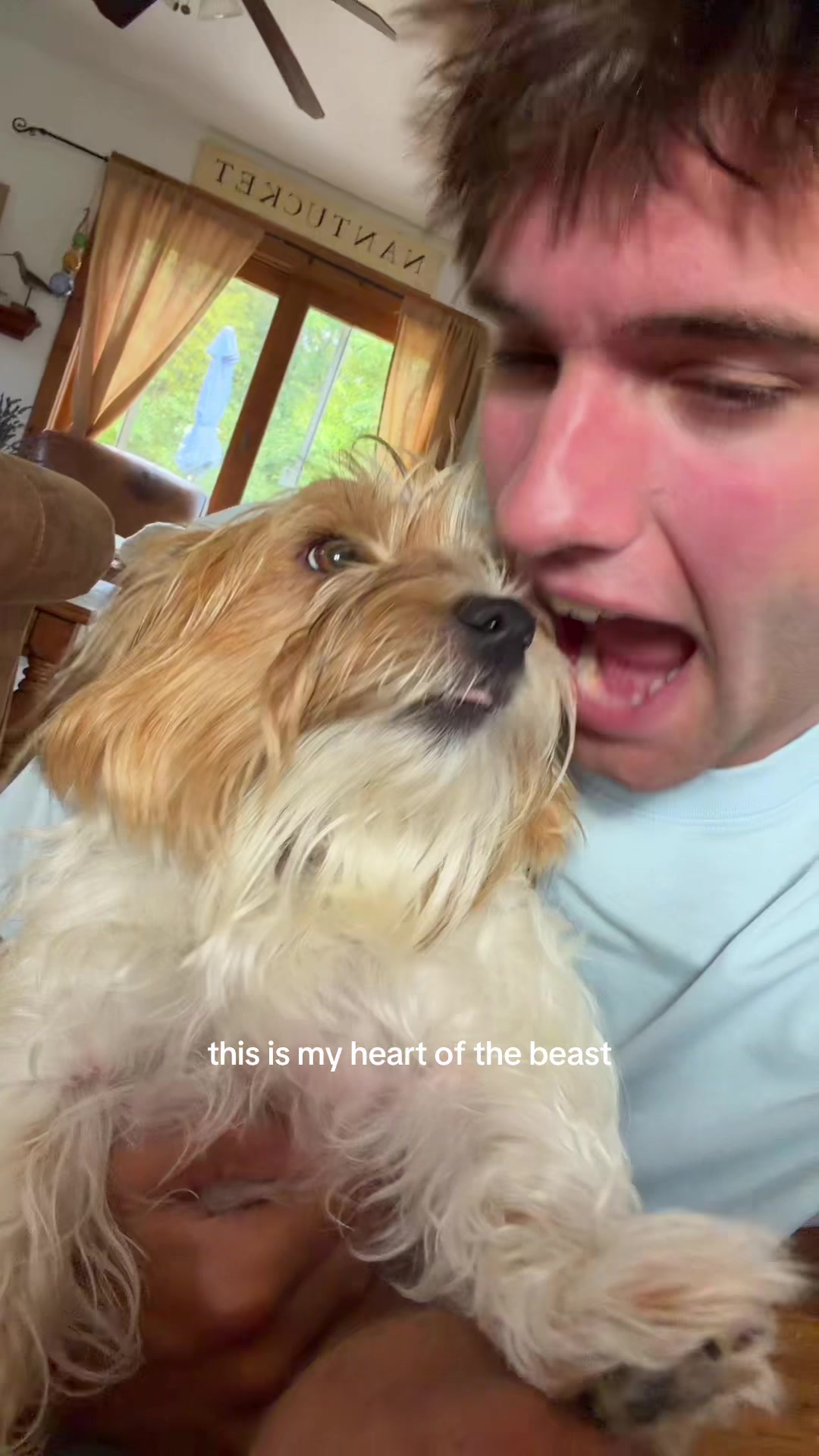 @jesse tierney