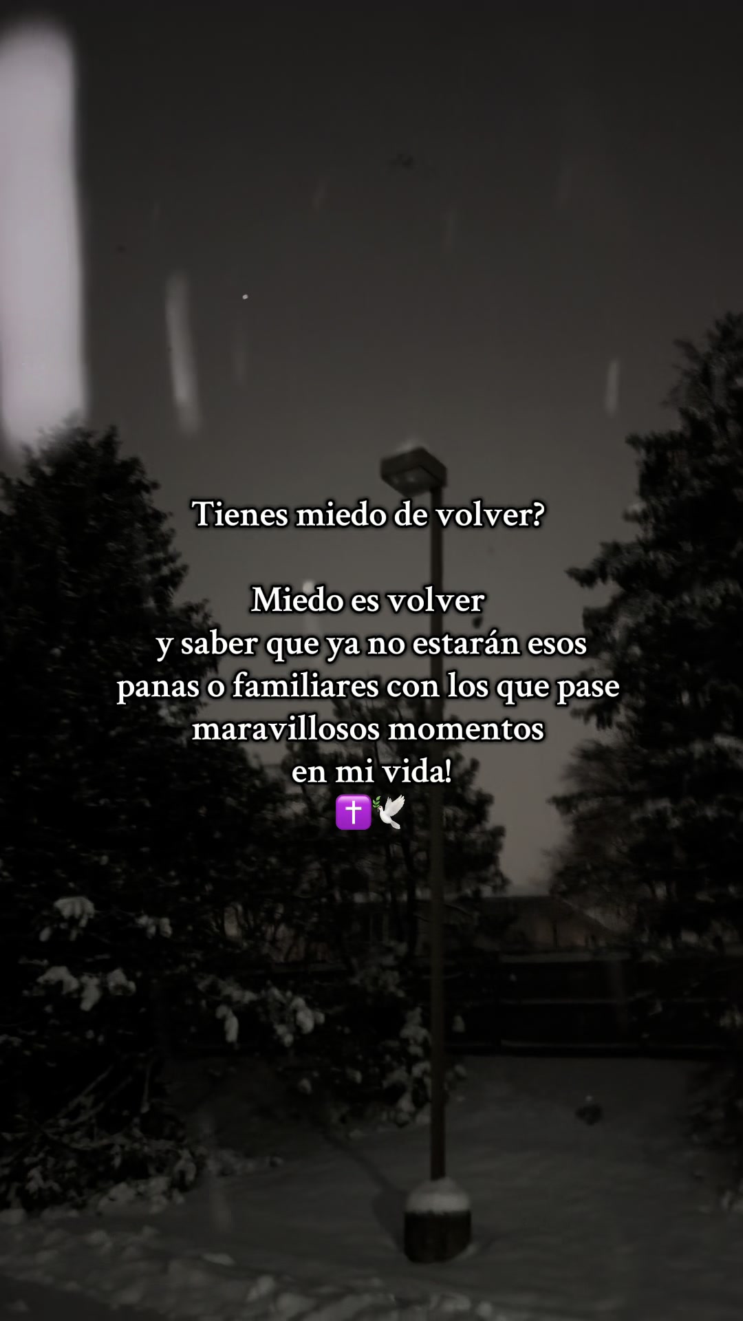 @Mauricio 👻