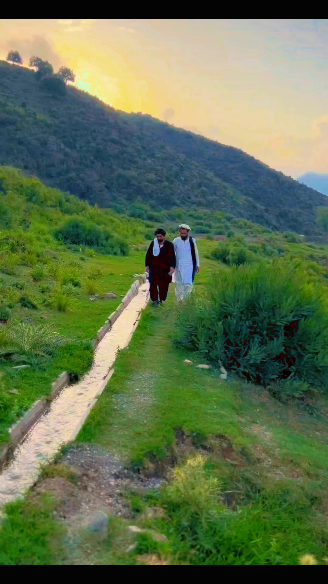 @🌹🌹وزیرستان گلونہ🌹🌹