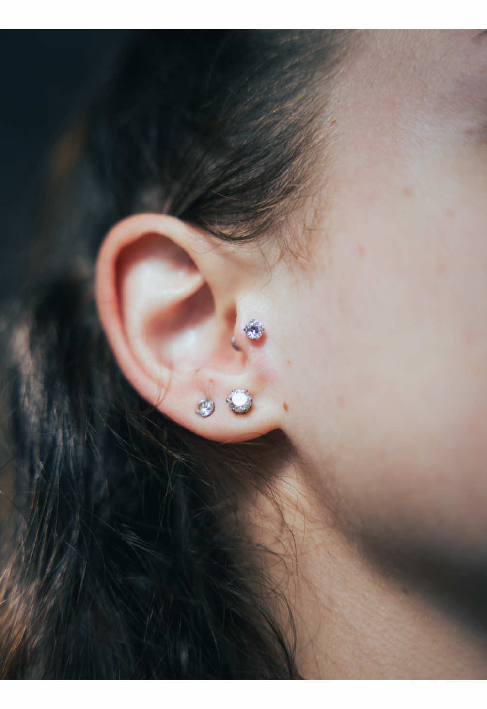 @evolvealepiercer