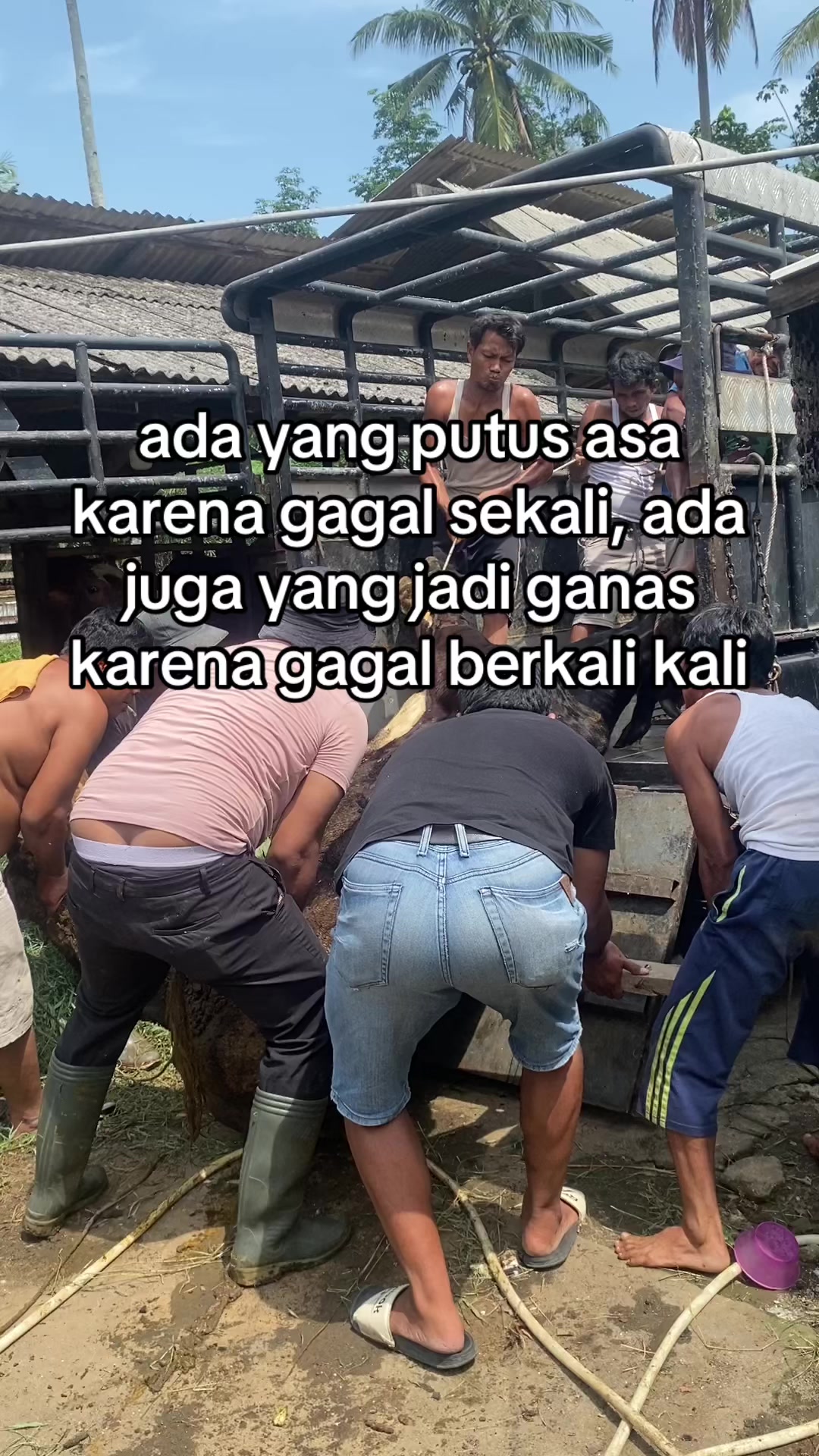 @ngaritboy