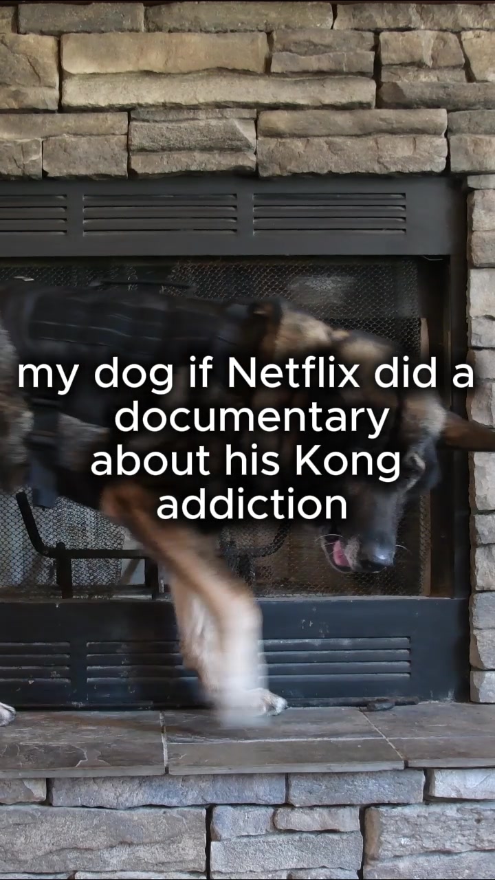@K9 Arlo
