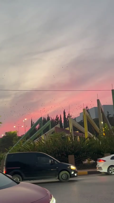 @🦅الہٰربٰٰداويٰ الہٰمزيٰون❤️🦅