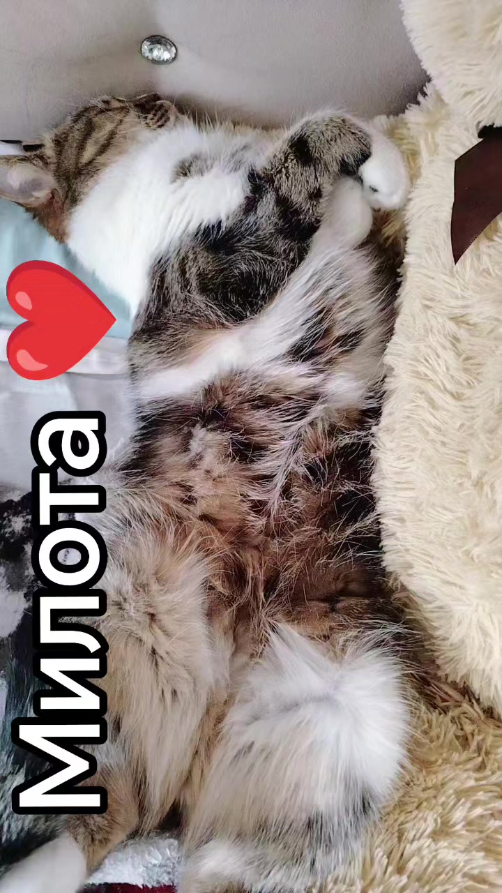 @♥️МАЛЕНЬКАЯ ♥️