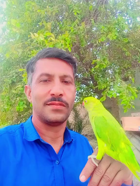 @جام نیاز