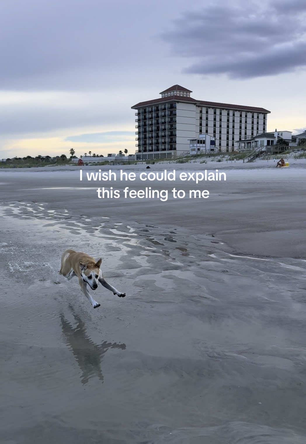 @Sophie Kay