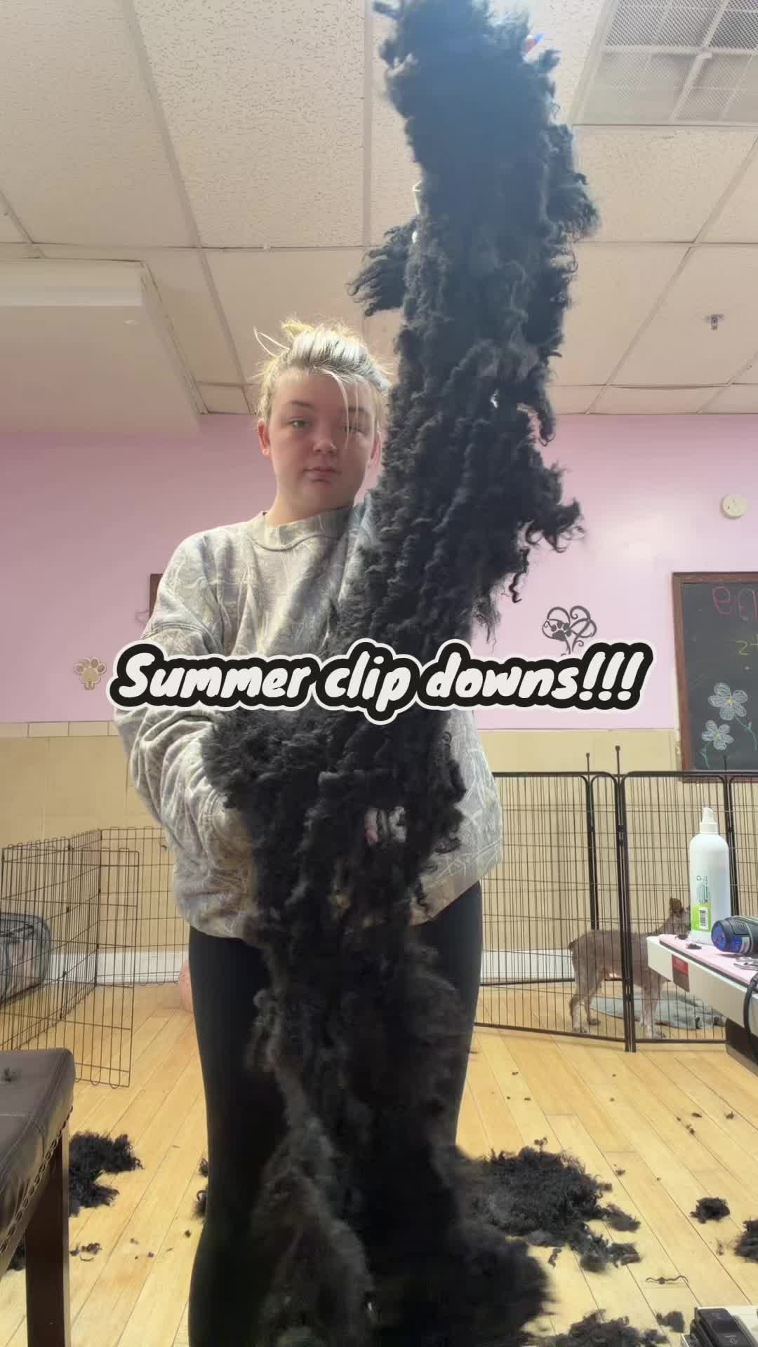 @Grooming By Tip Top