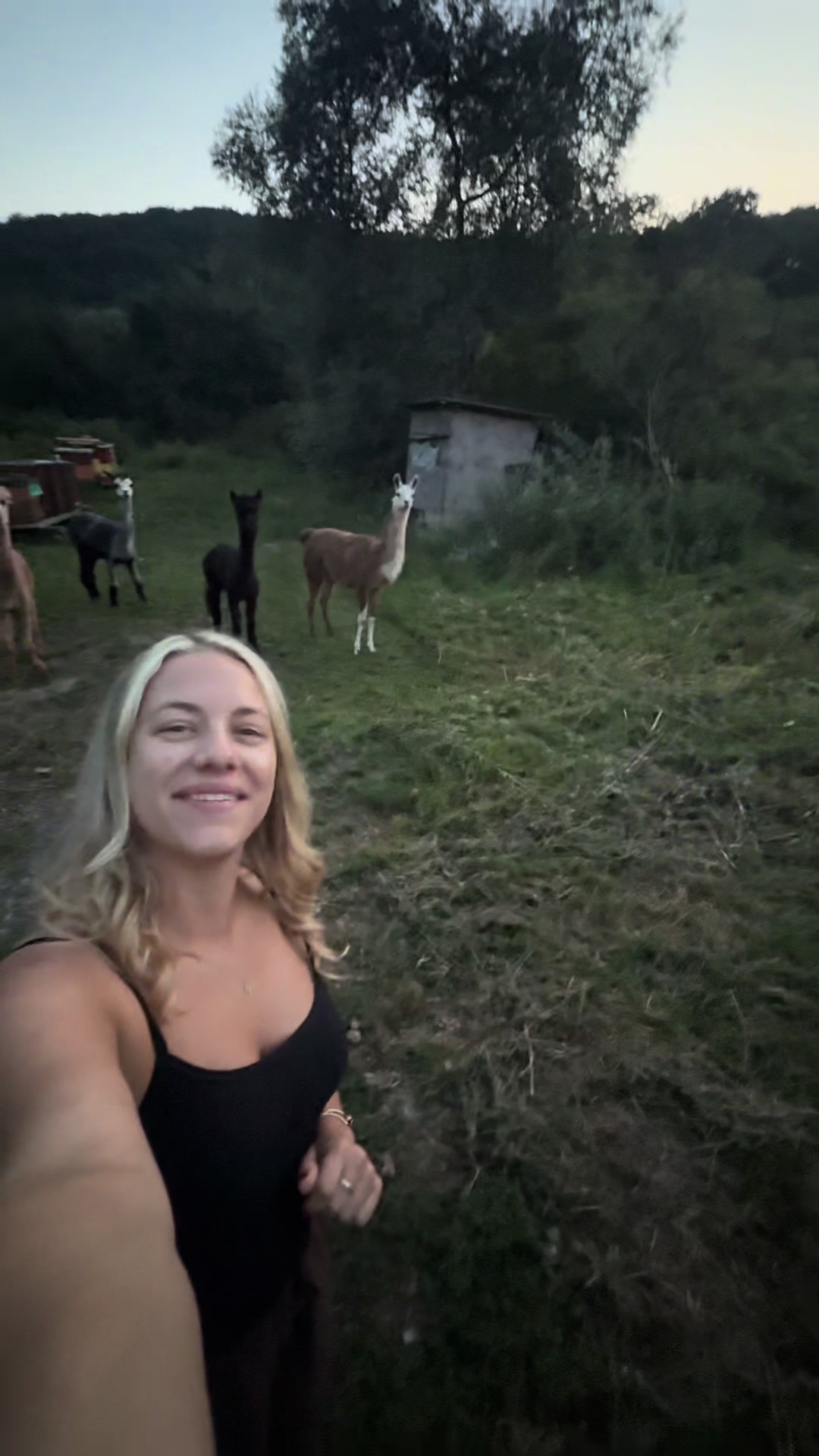 @Nicole | Travel & Life