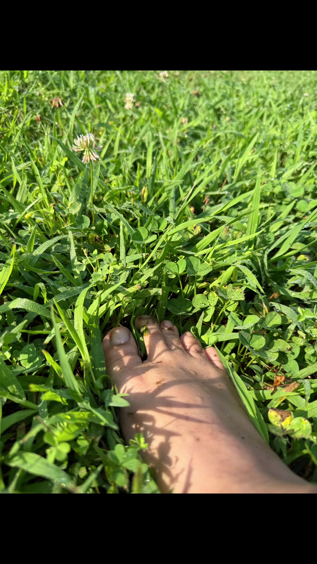 @Hinglishbong