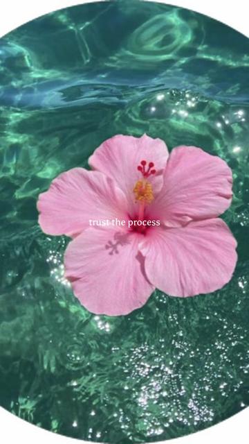 @Dijo🦋