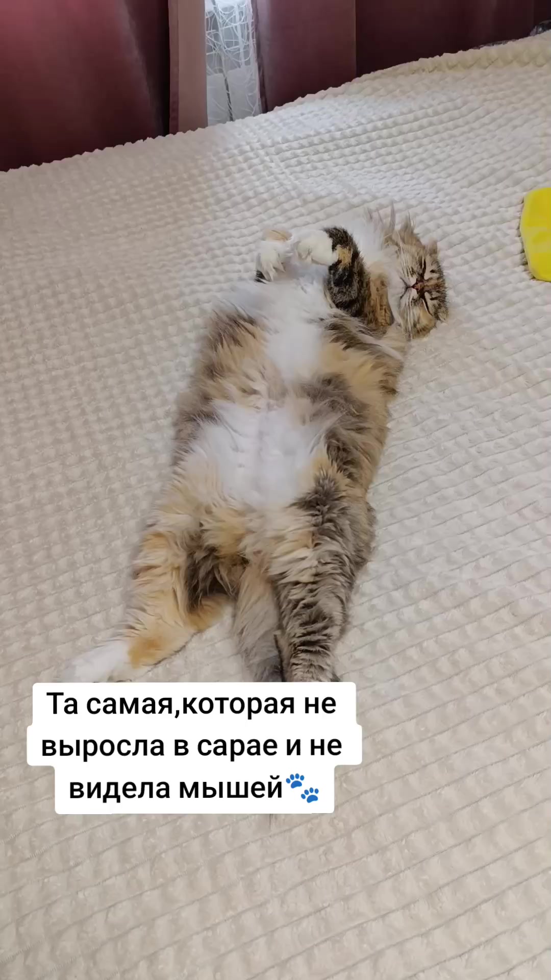 @фрося