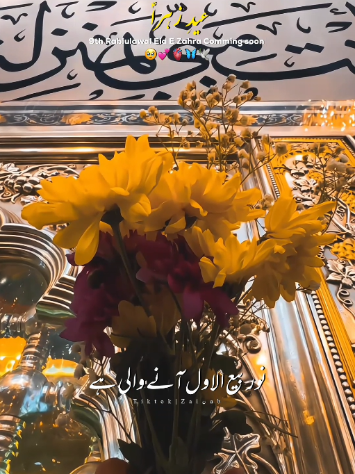@𝐙𝐀𝐈ن𝐀𝐛ރ
