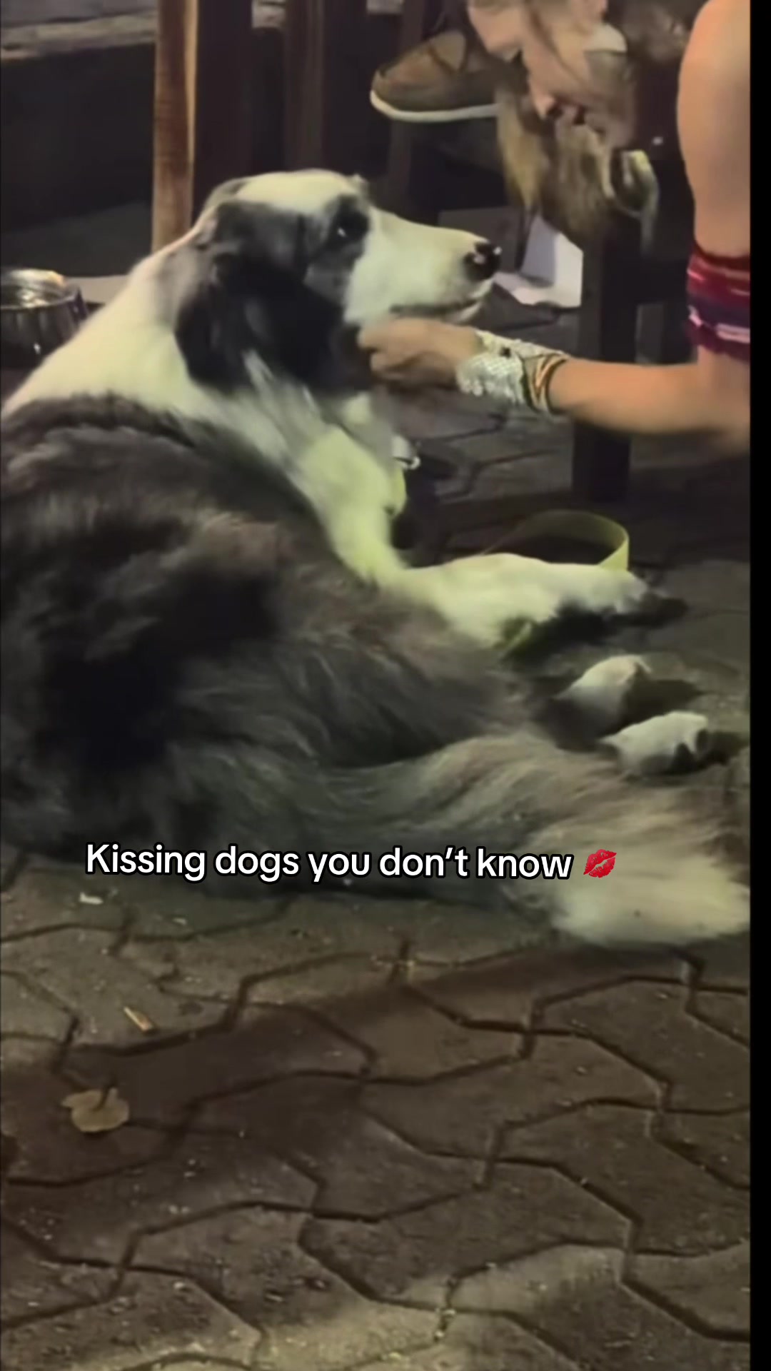 @🪶TheN8tiveDogfather🐾