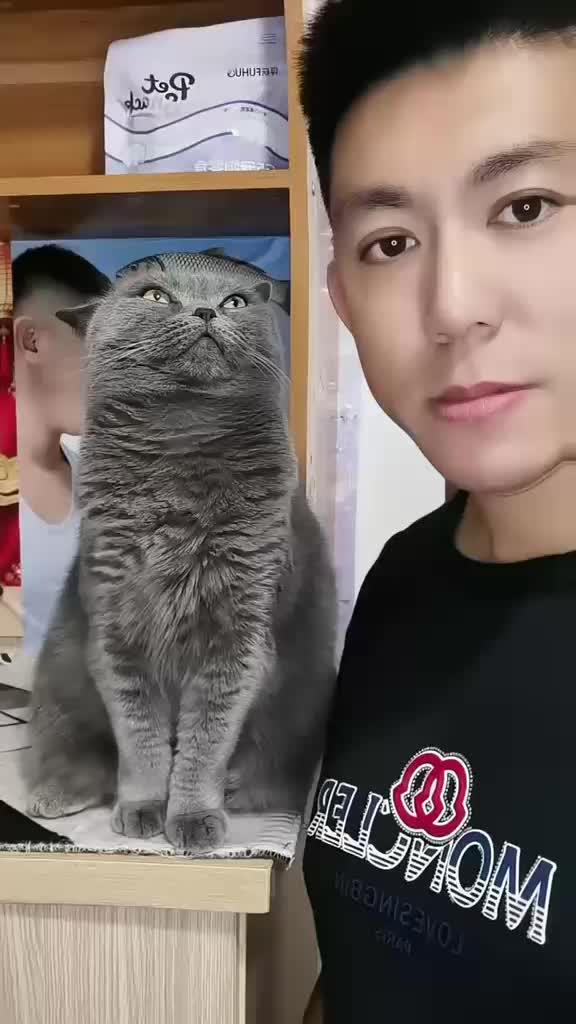 @Funny