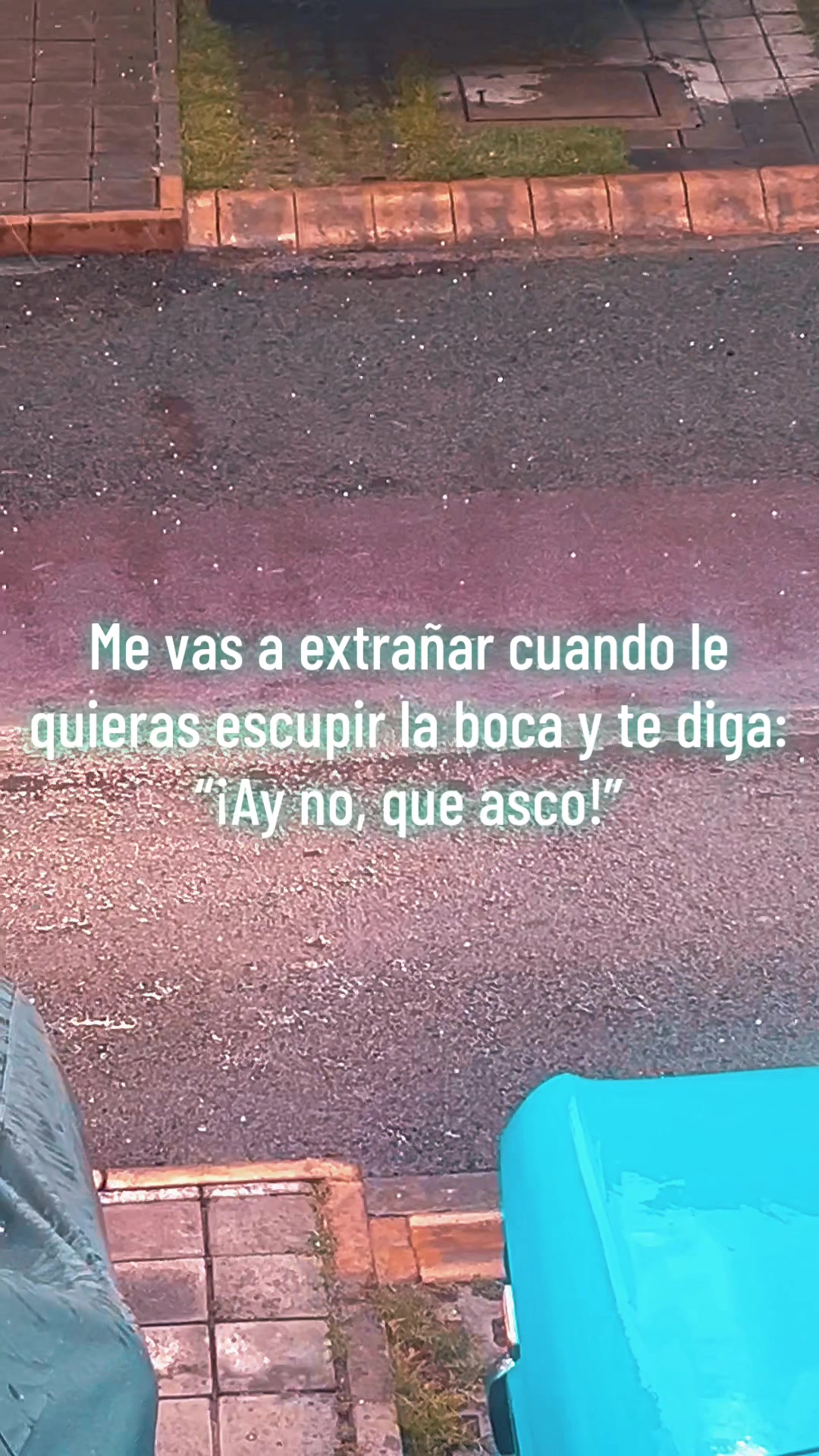 @Vikini Azul