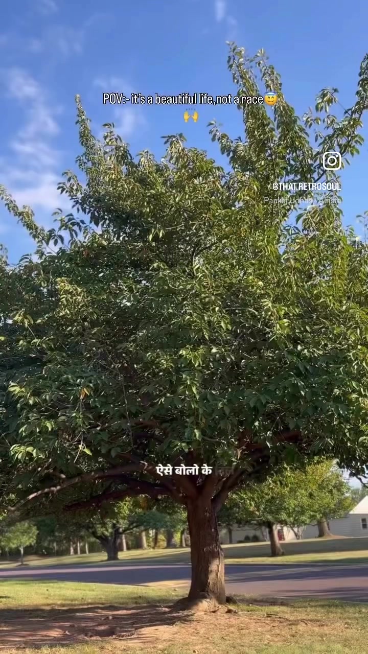 @kajal
