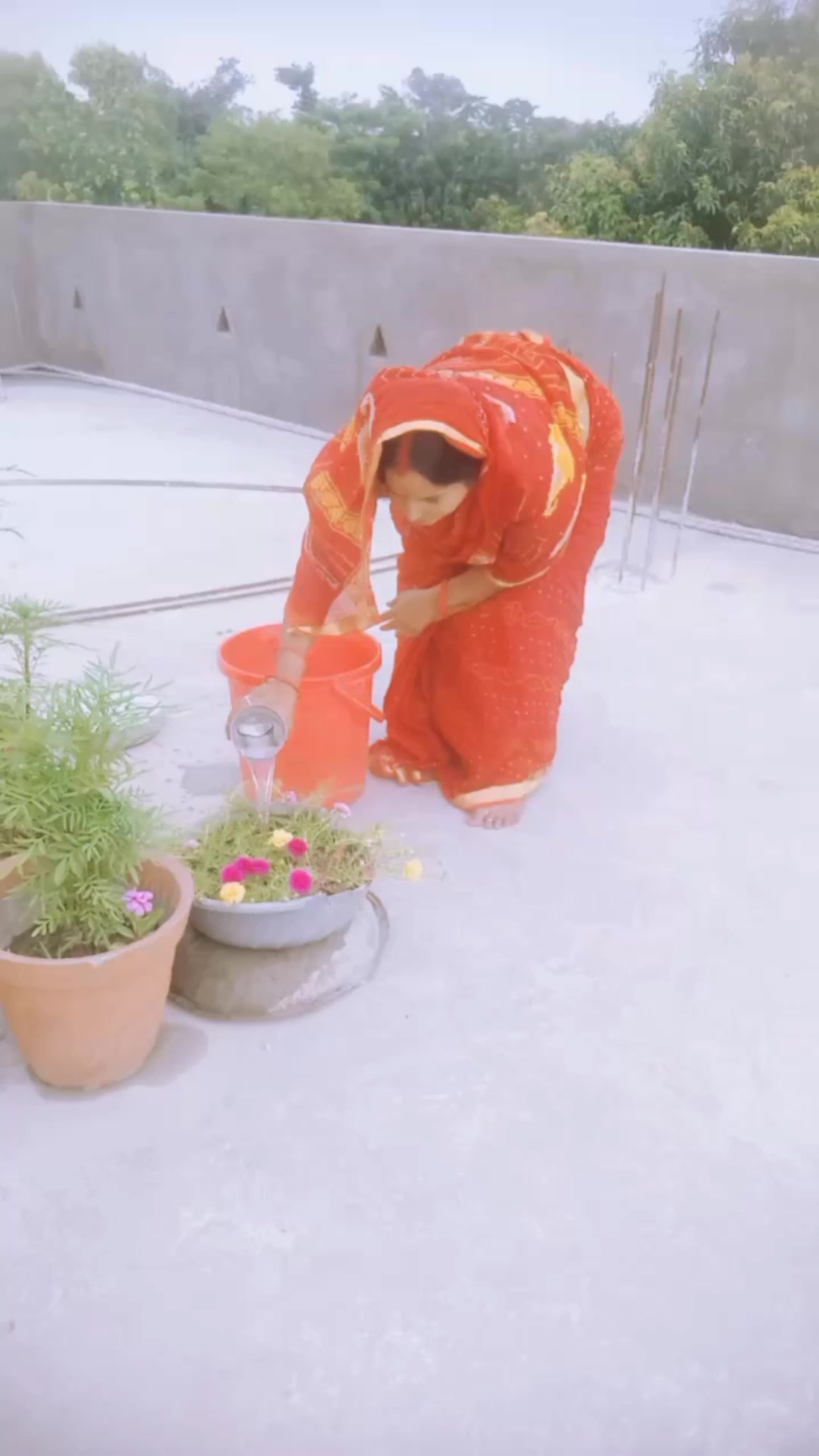 @sangita yadav