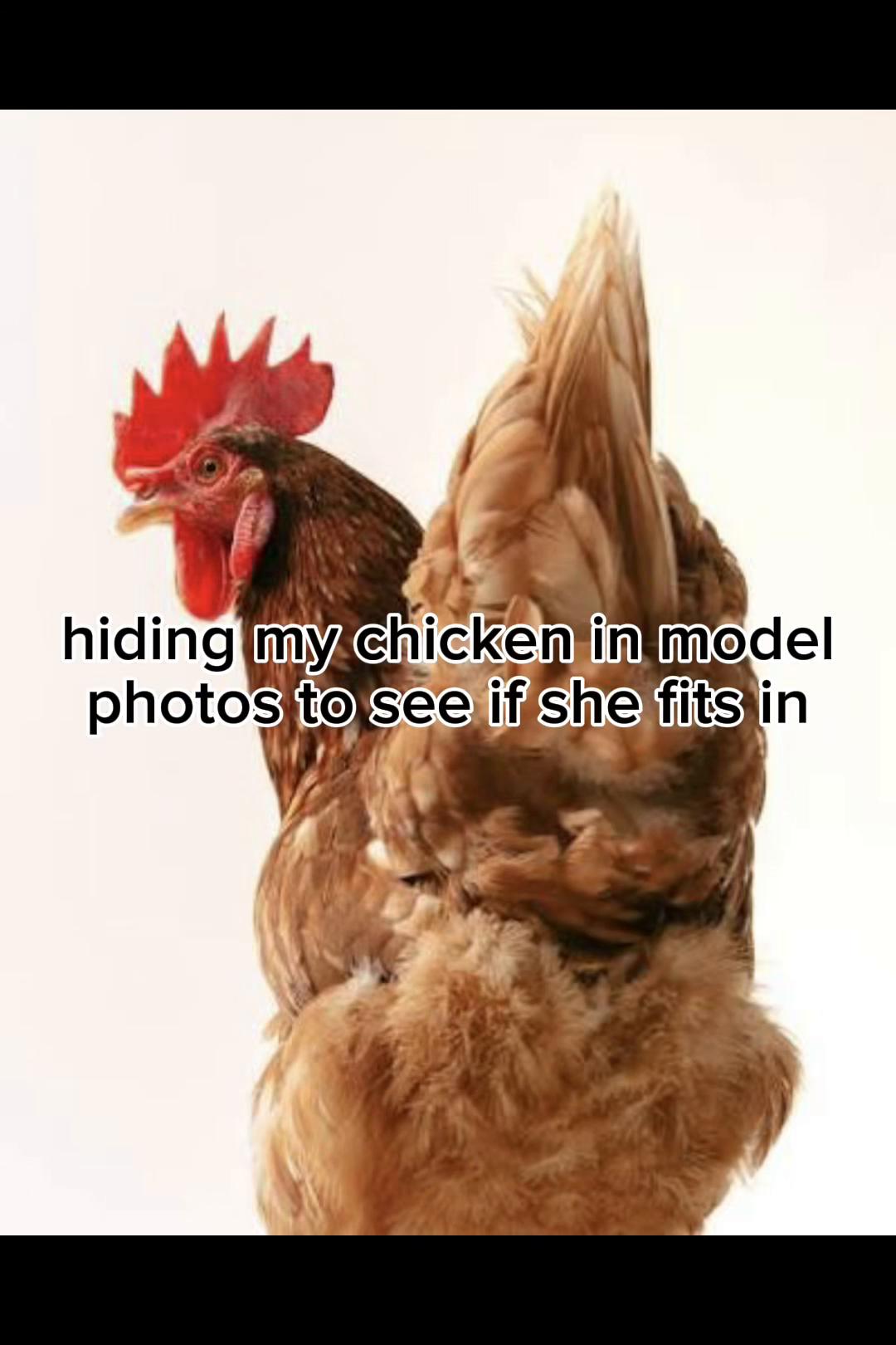 @Seven_mightyhens