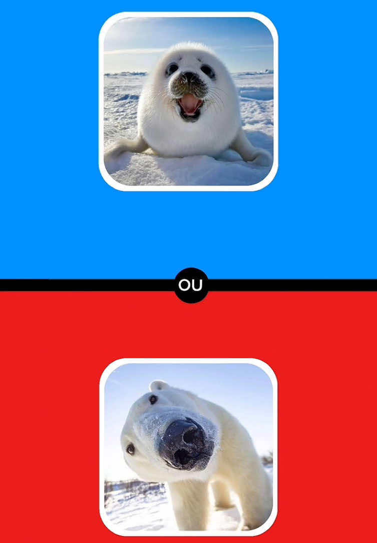 @Emoji Quiz