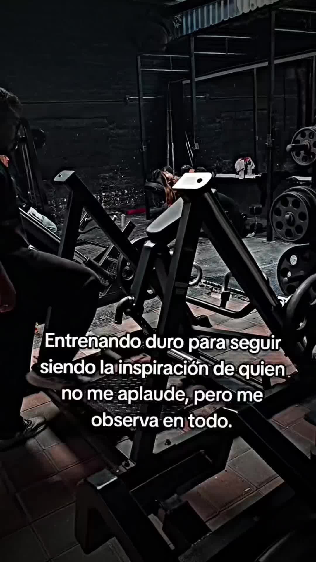 @Tavozdk