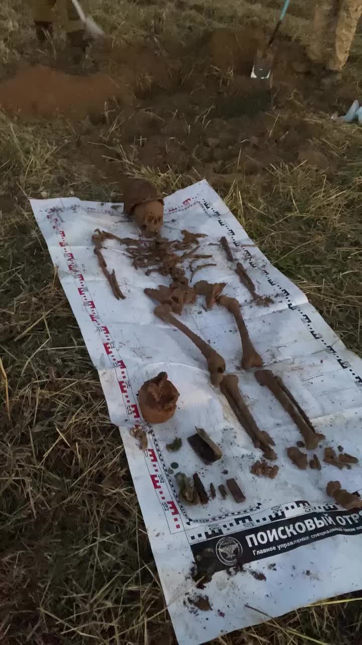 @Archaeologist 11