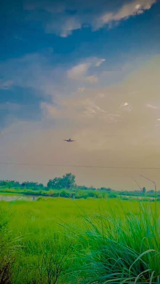 @🔥 Bhatti is Brand 🔥