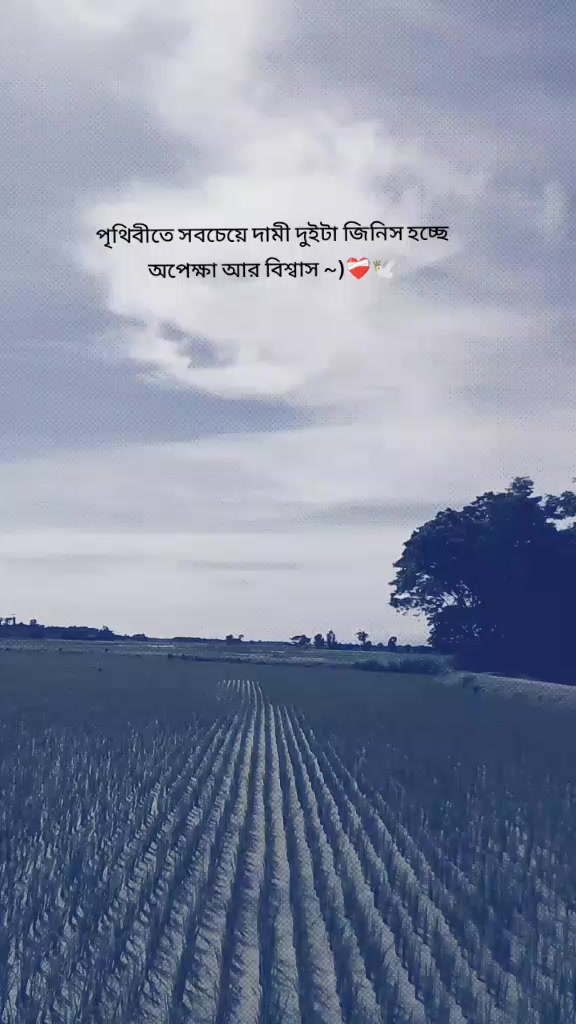@Kibriya khan