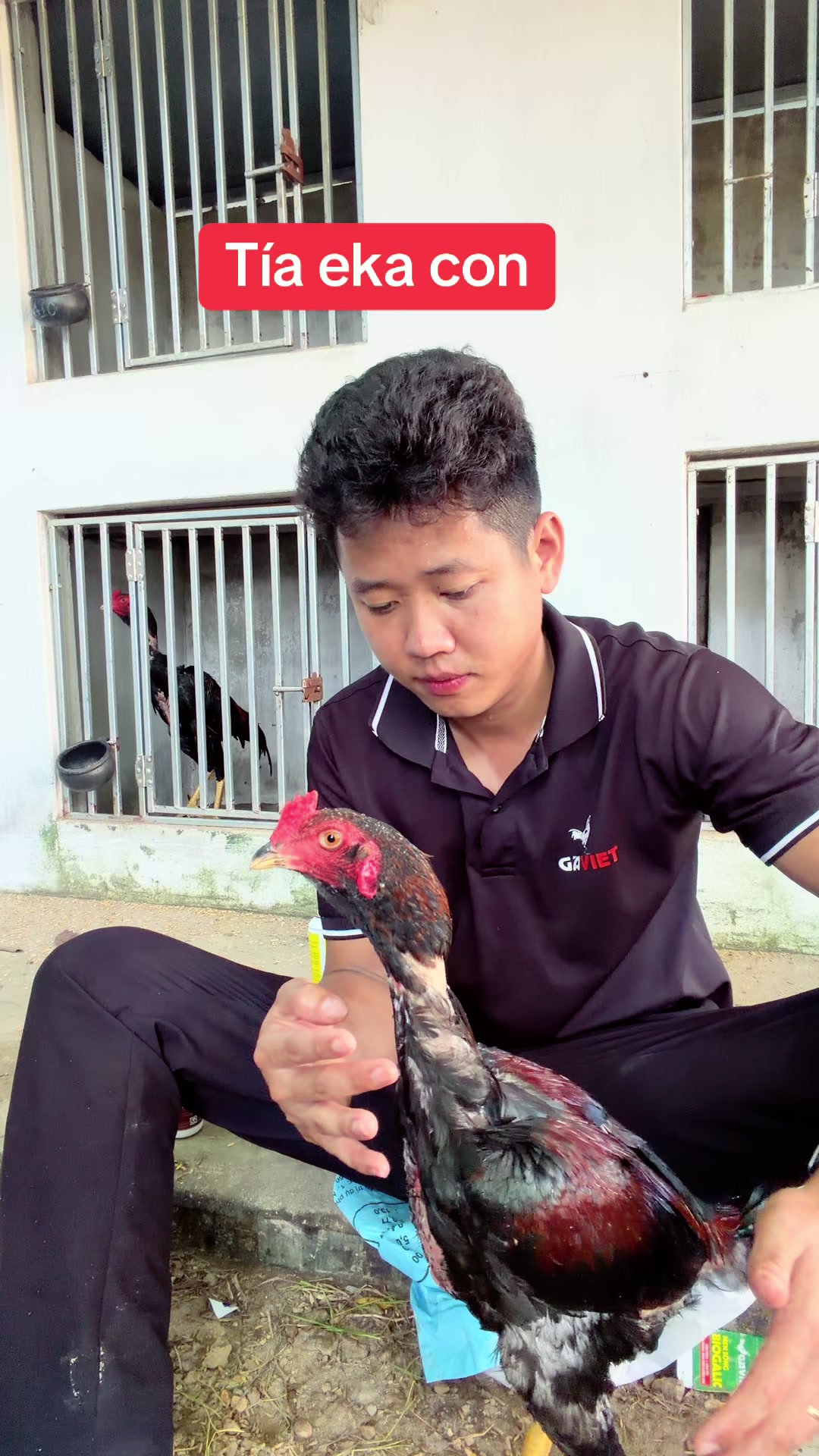 @Quyền Ba Vì