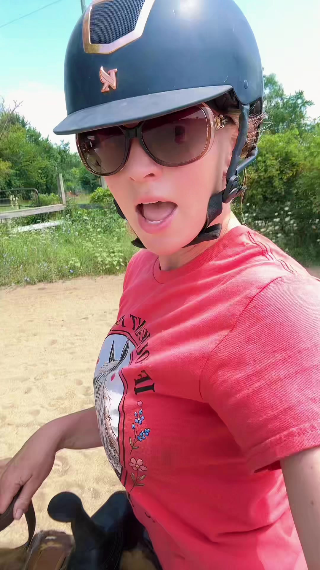 @Free Spirit Equestrian