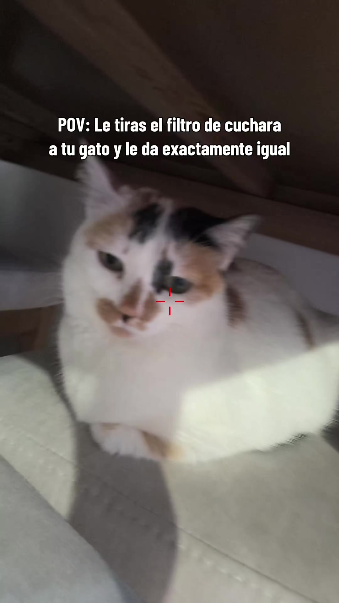 @Danew