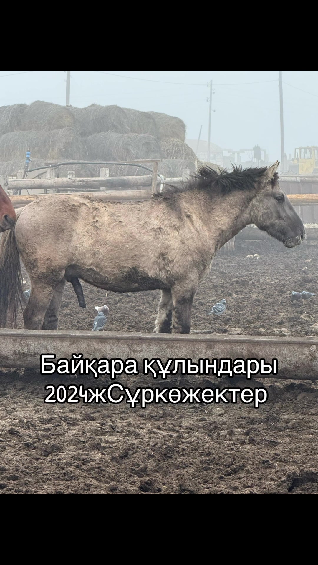 @Есенғали