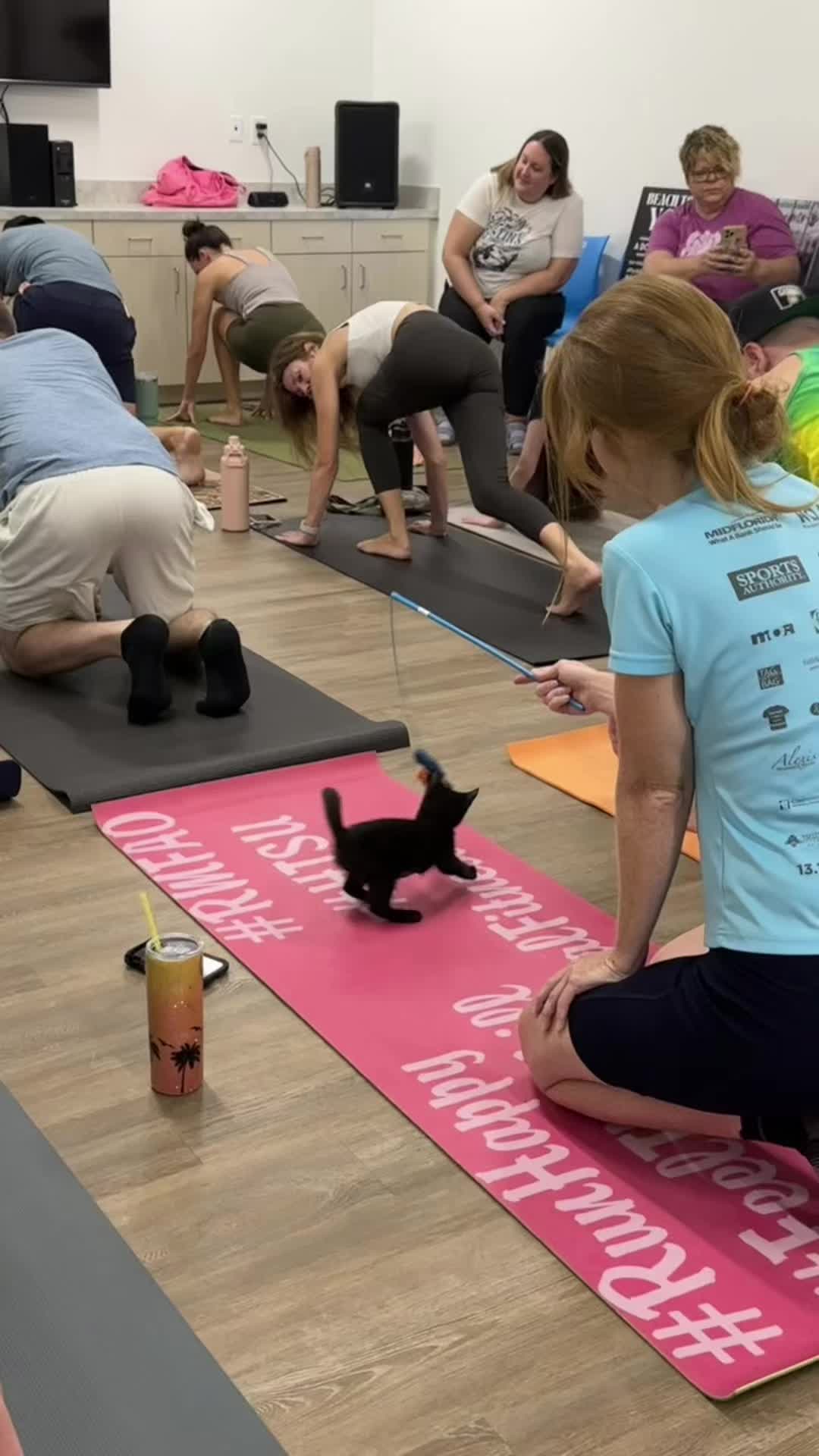 @Friends of Strays