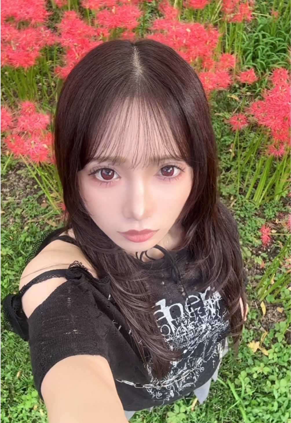 @🌎彩花⚡️