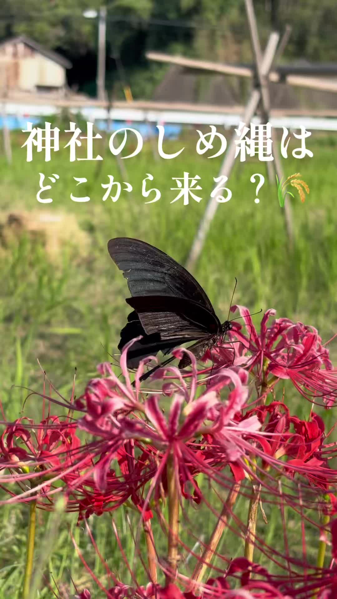 @天之宮神社【公式】